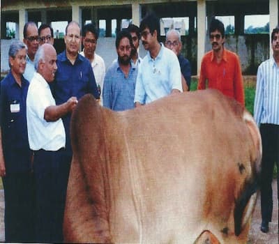 College of Veterinary Science & Animal Husbandry Anjora Durg Facility photo 7